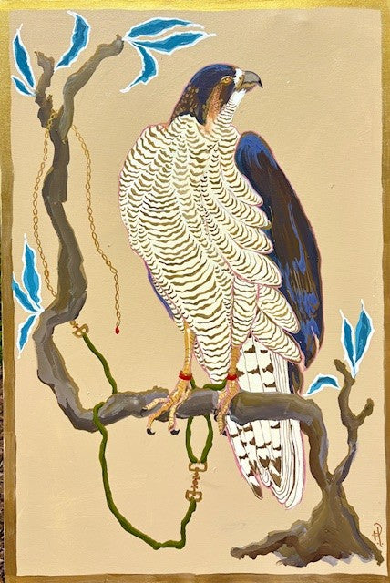 Falconry Hawk